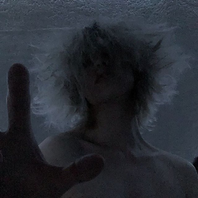 Profile photo of @personavich